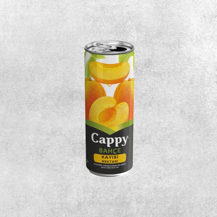 Cappy Meyve Suyu Kayısı (330ml)