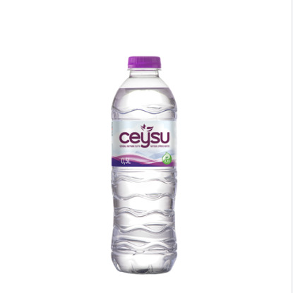 Su