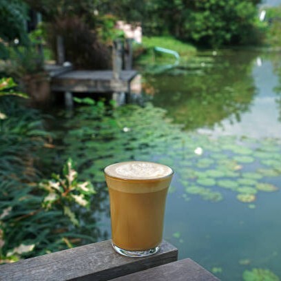 Lotus Latte