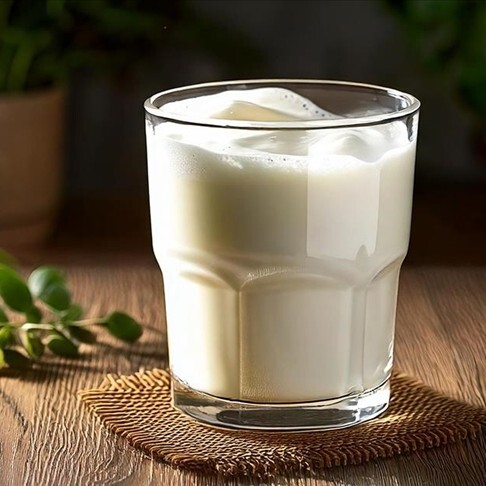 Ayran (30 cl.)