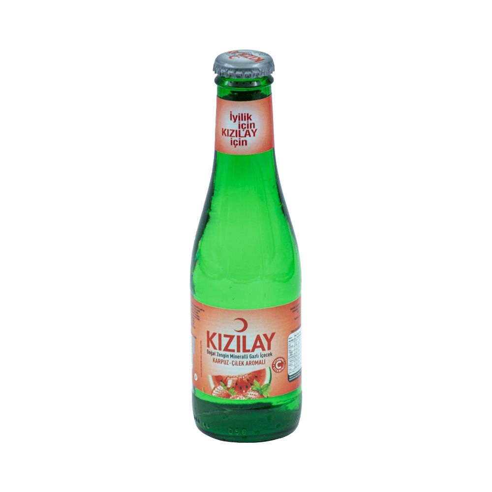 Meyveli Soda (20 cl.)