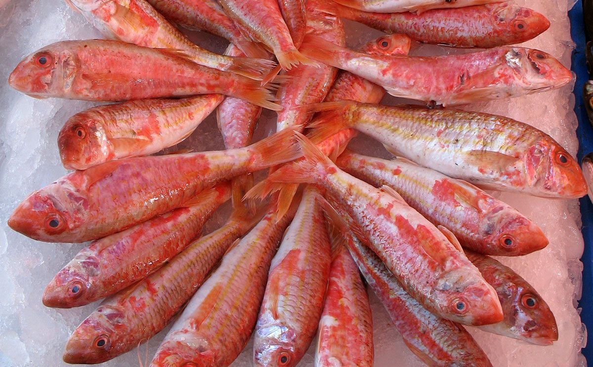 Çiğ Barbun (1 Kg.)
