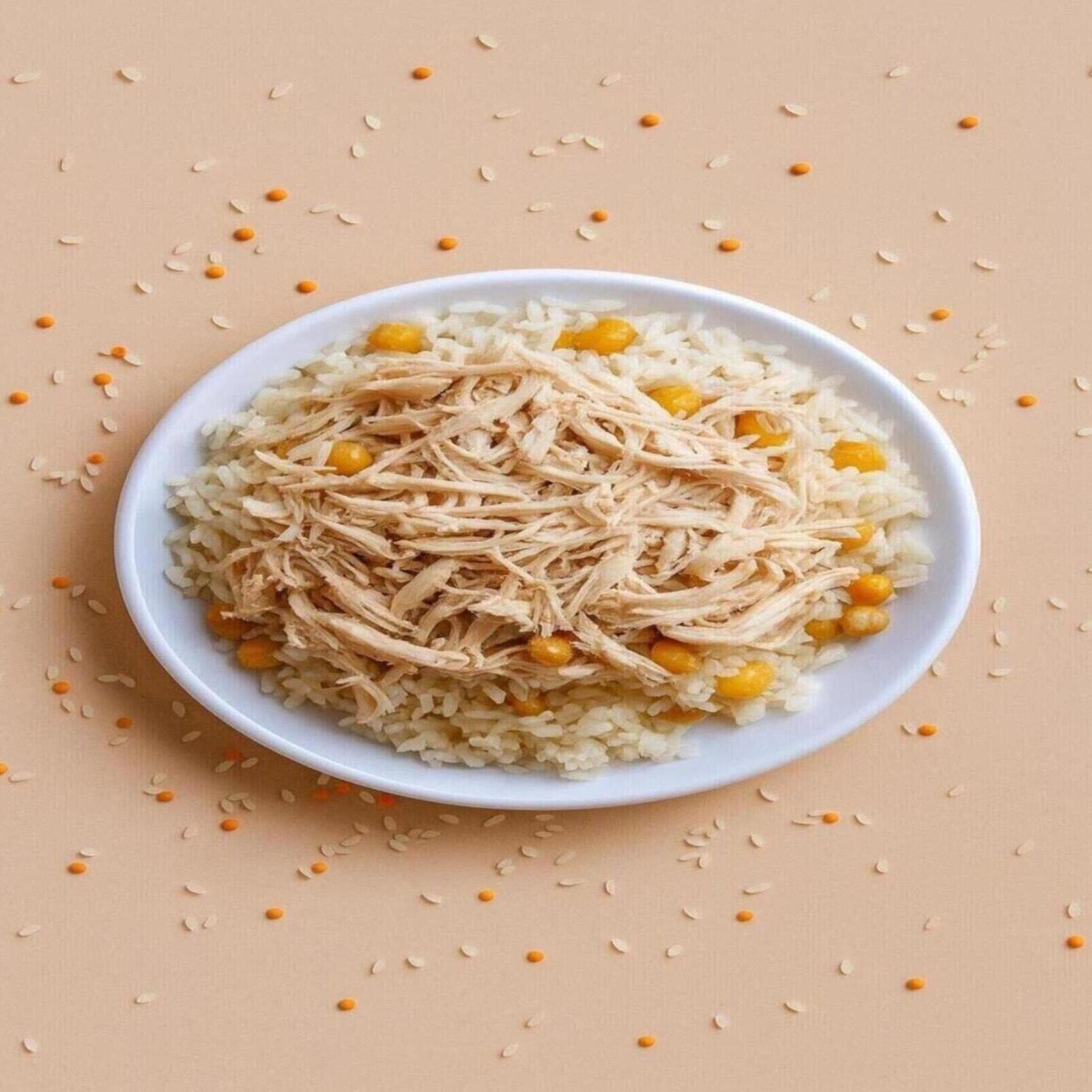 Pilav Üstü Double Tavuk+Ayran