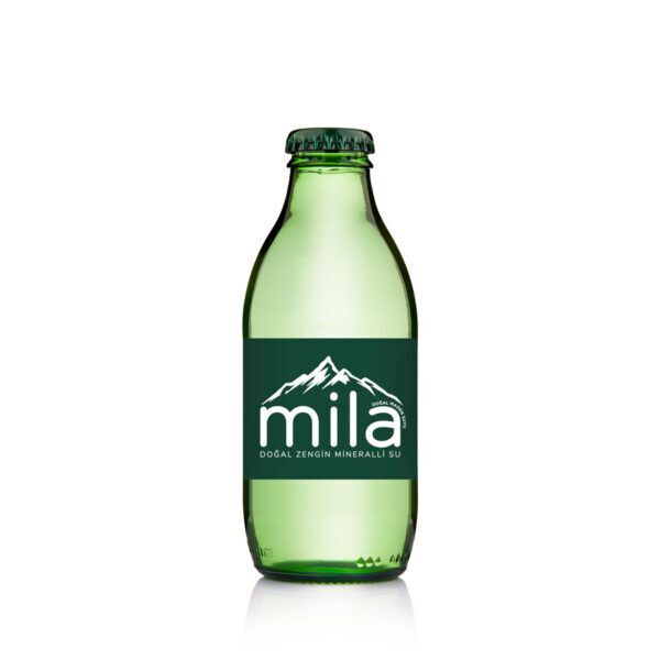 Soda (20 cl.)