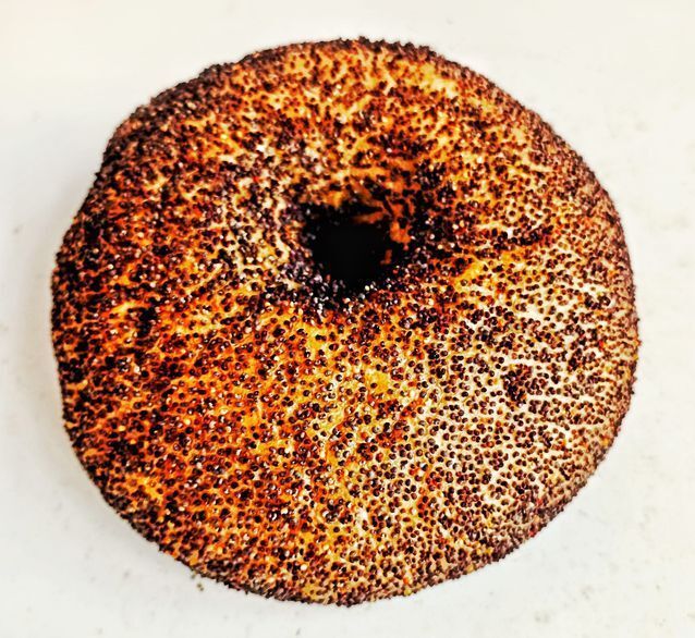 Bagel Haşhaşlı Ekmek