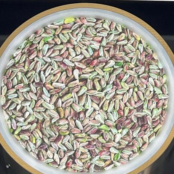 Fıstıkzade Künefe (2 Kişilik)