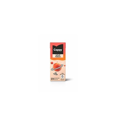 Cappy Şeftali (200 ml)