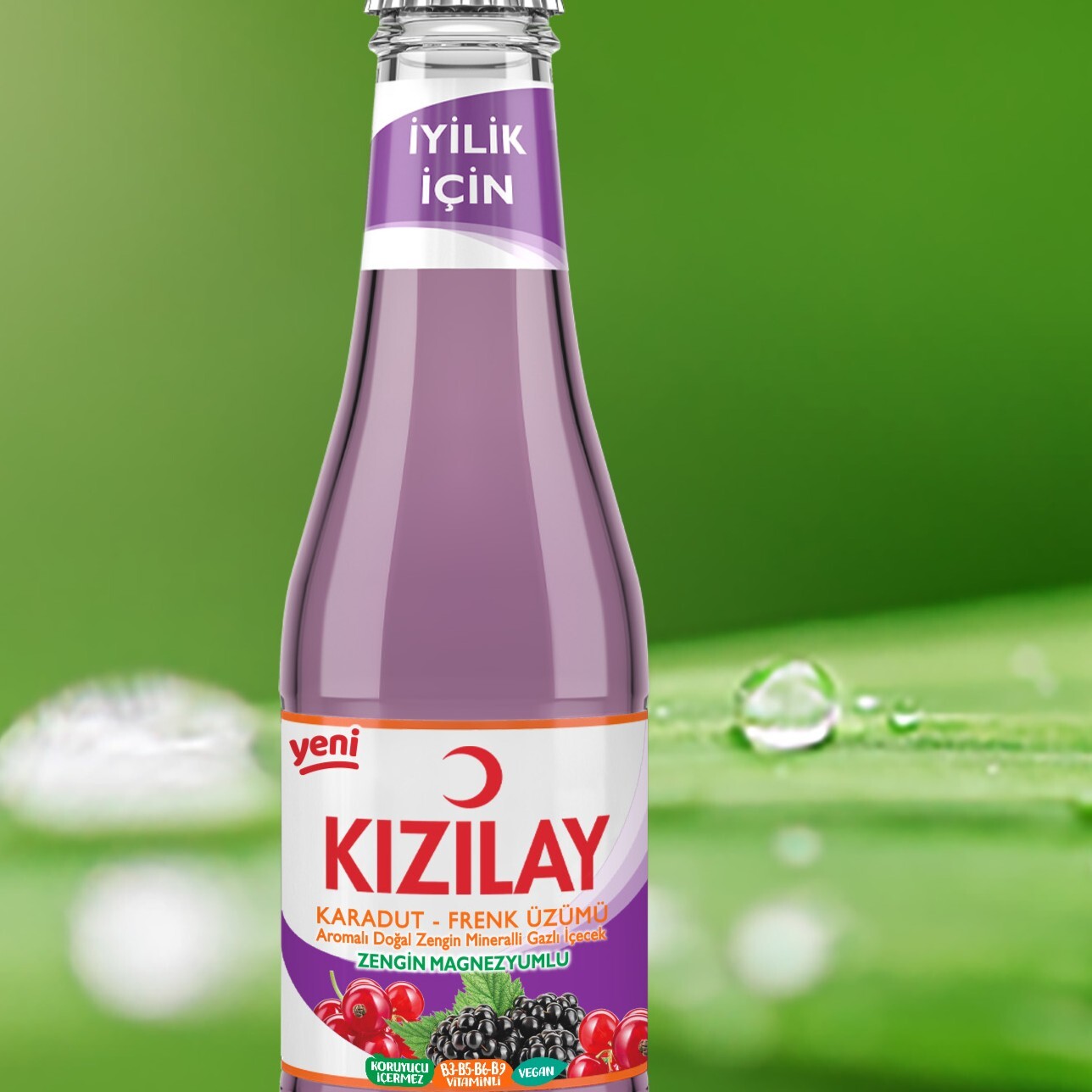 Kızılay Maden Suyu (Karadut Frenk Üzümlü) 200 ml