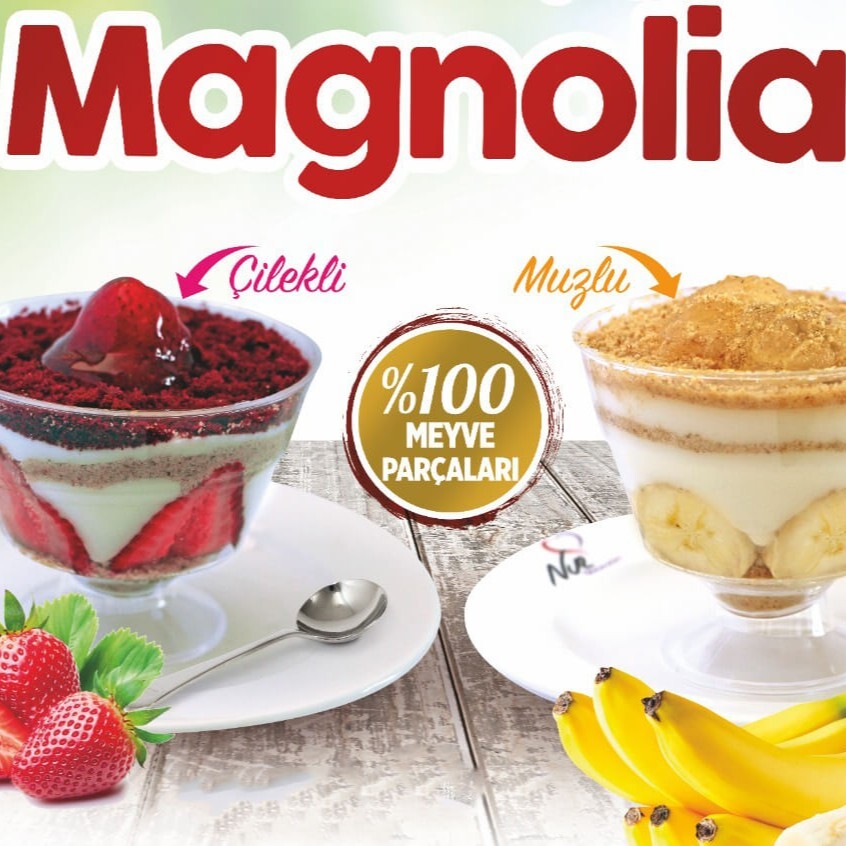 Çikolatalı Magnolya