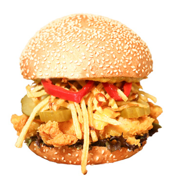 Crispy Chef Special