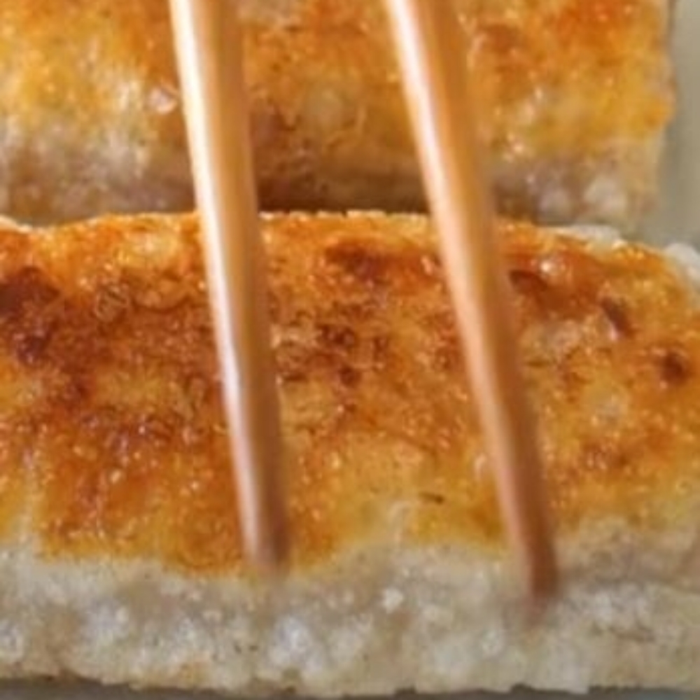 Salmon Dumplings