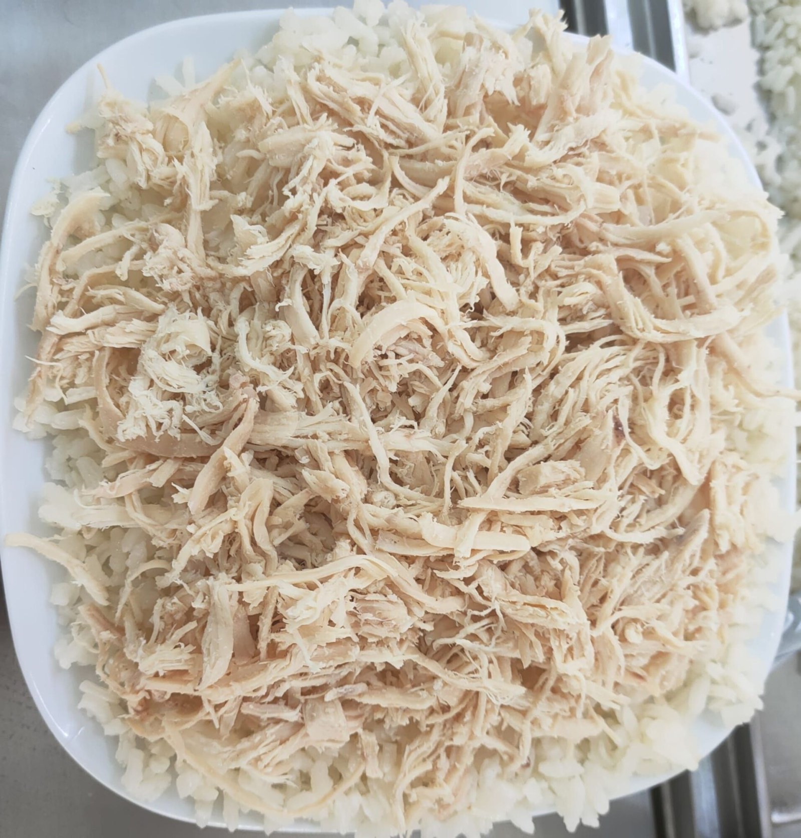 Sporcu (100 Gr Tavuk) Büyük