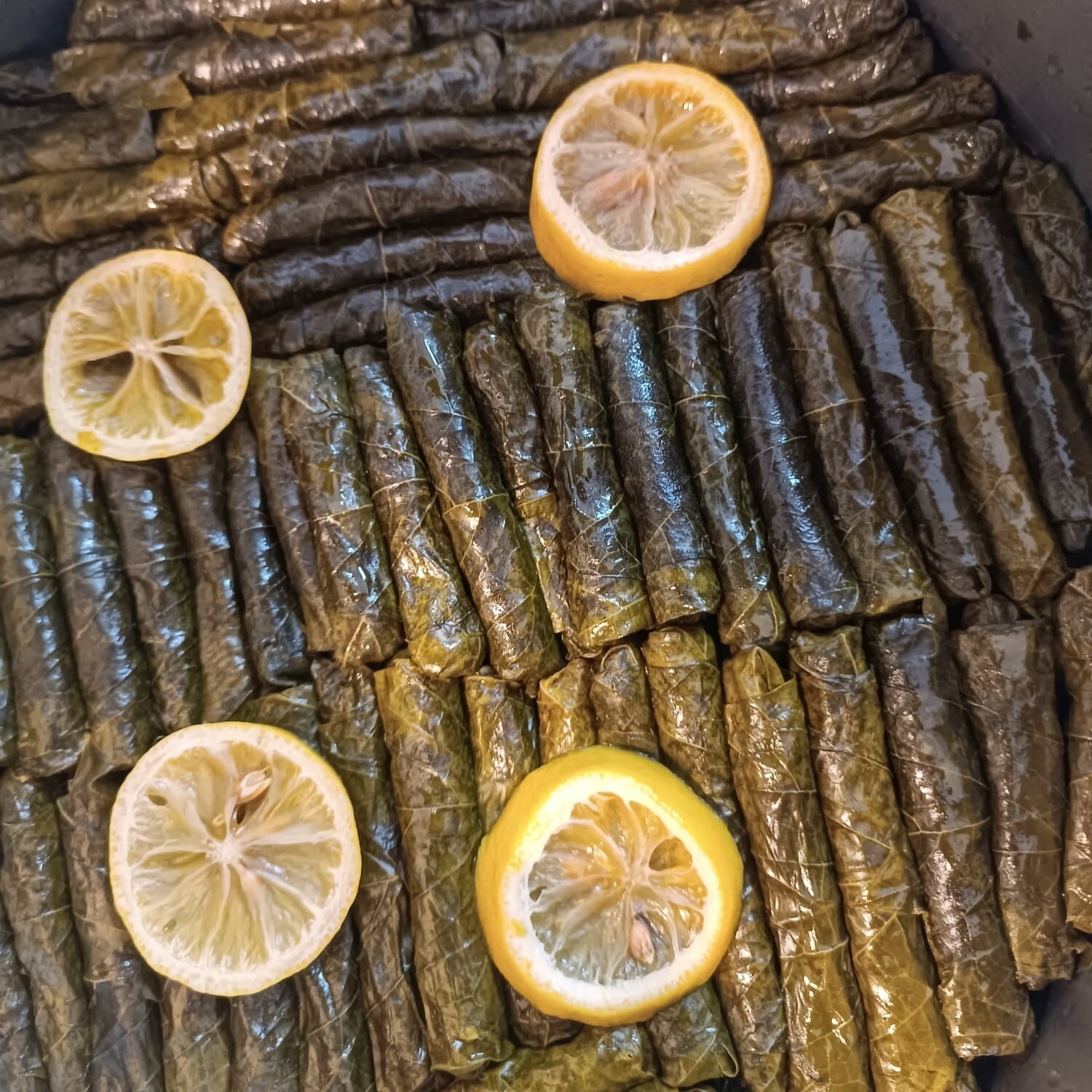 Yaprak sarma zeytinyağlı