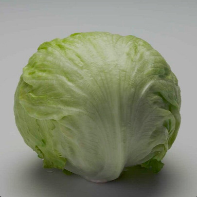 Yeşillik Tabağı Küçük