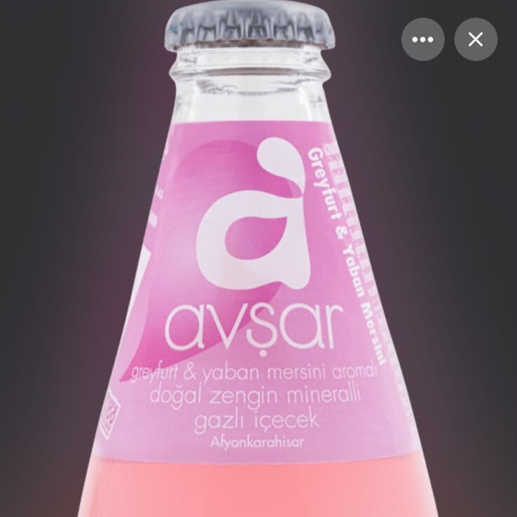 Avşar Greyfurt Yaban Mersinli Soda (200 ml)