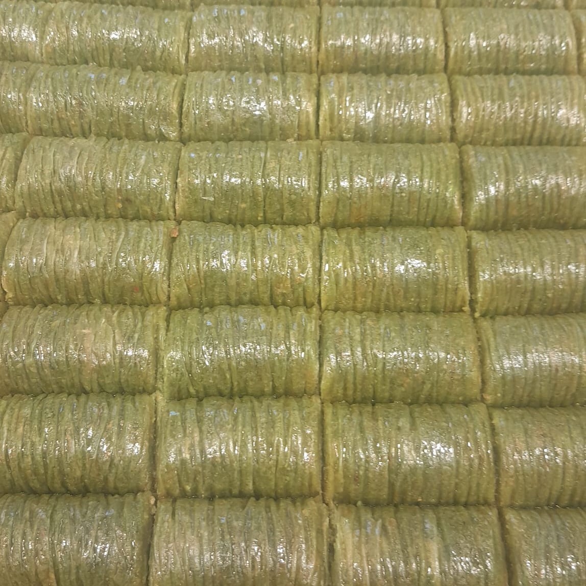 Dolama (kg)