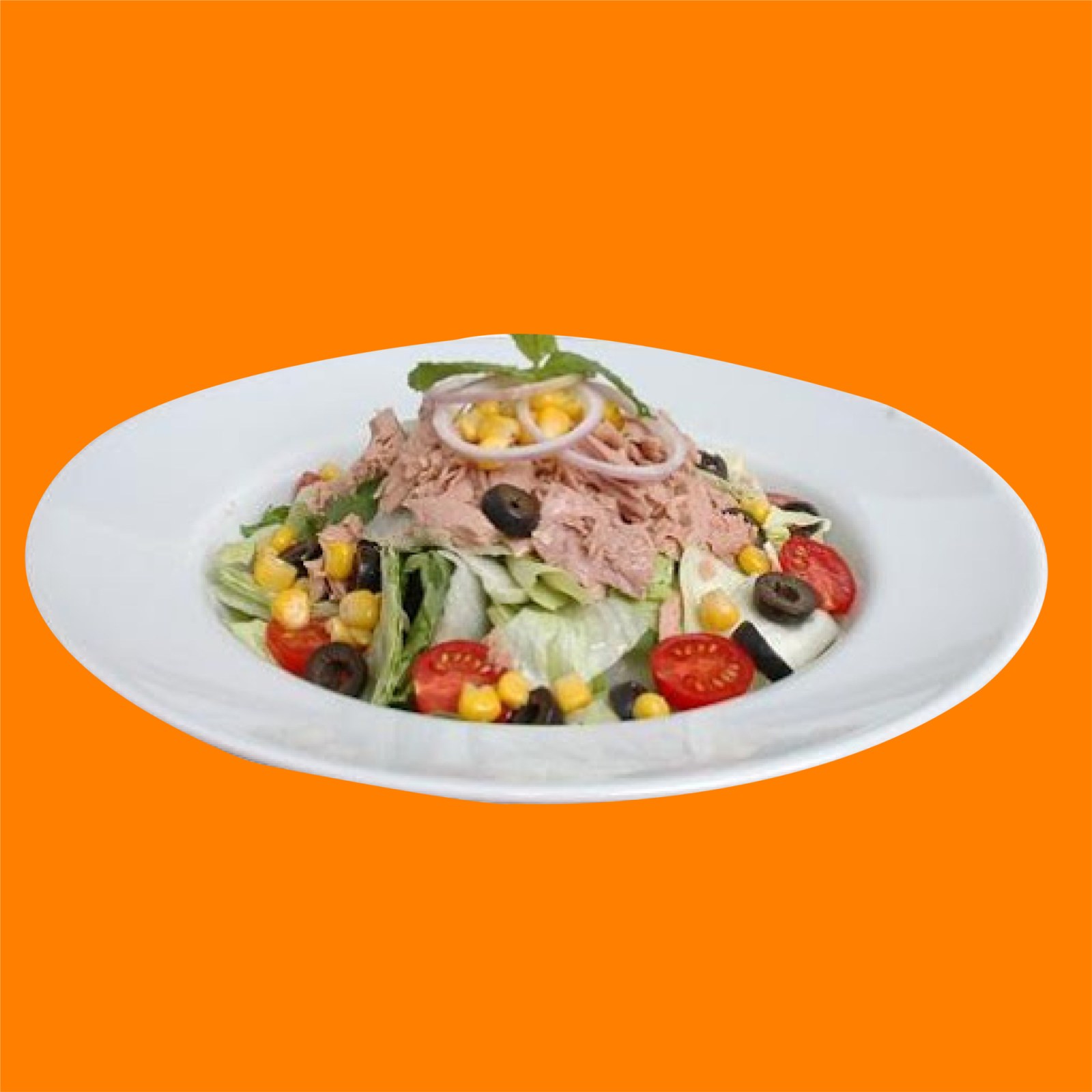 Ton Balıklı Salata