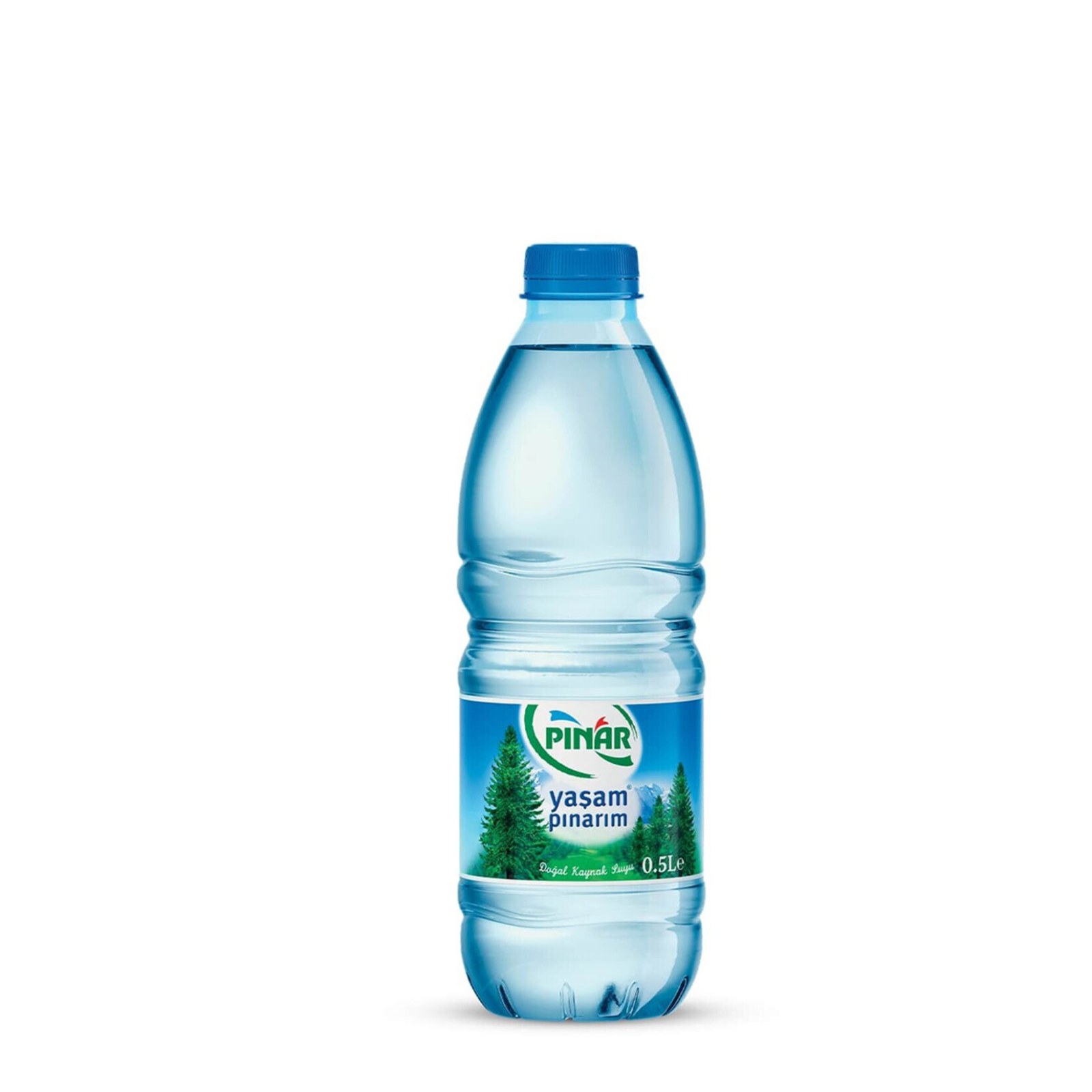 Pınar Su (500 ml)
