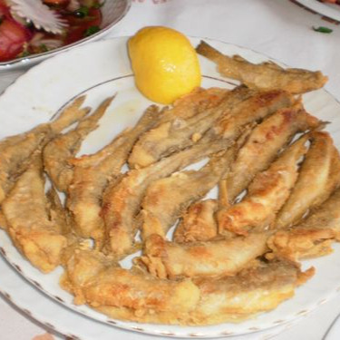 Mezgit Tava