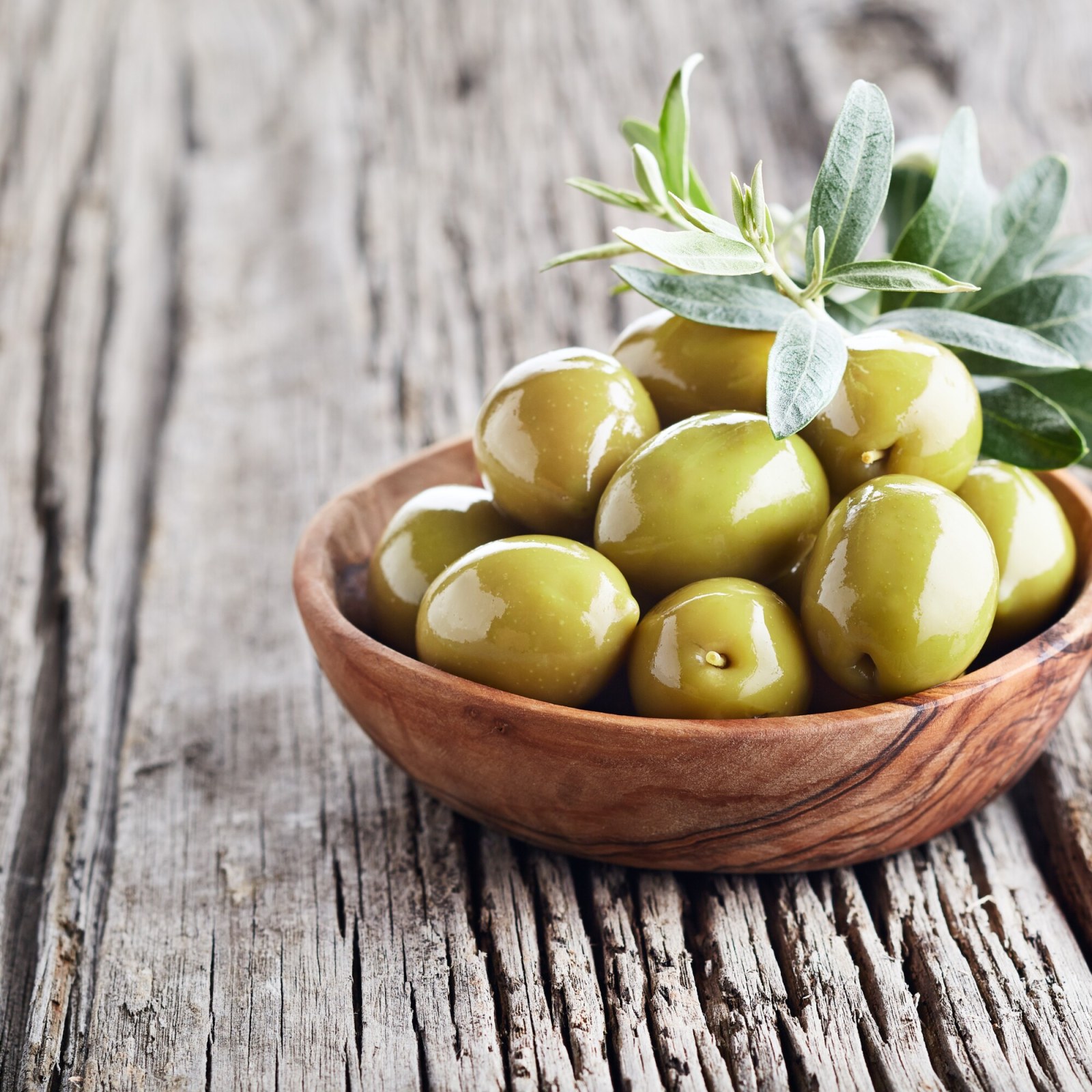 Yeşil Zeytin