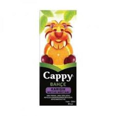 Cappy Karışık (20 cl.)
