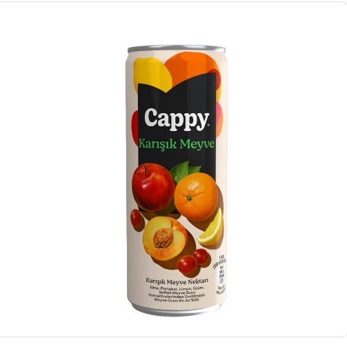 Cappy Karışık (33 Cl)