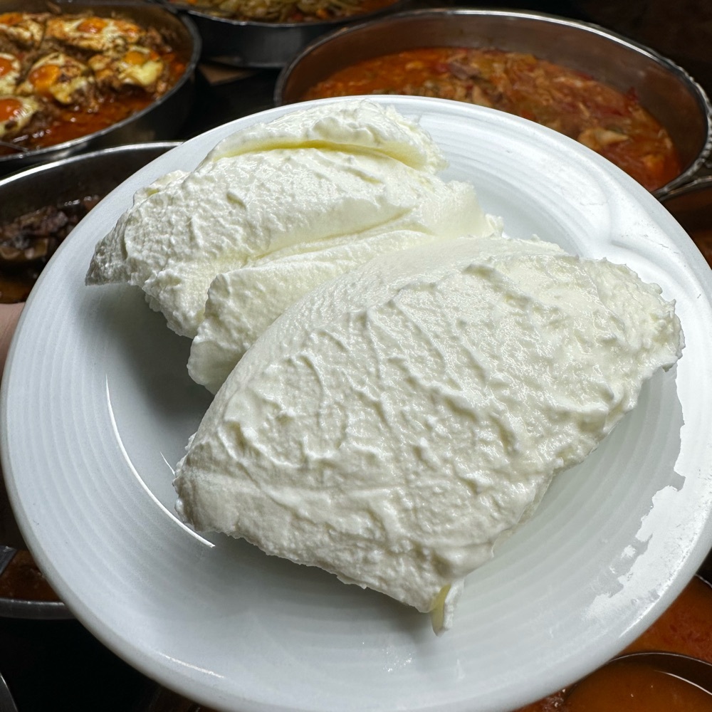 Yoğurt