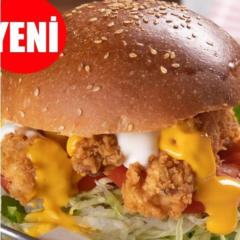 Chicken Burger + Coca-Cola 33cl