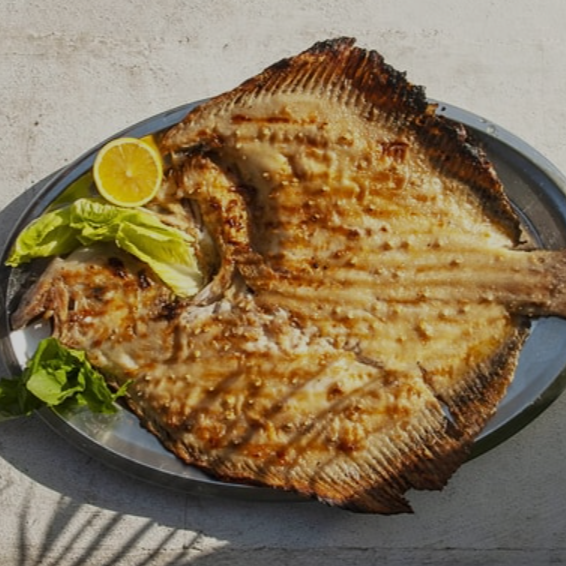 Kalkan Balığı Tava