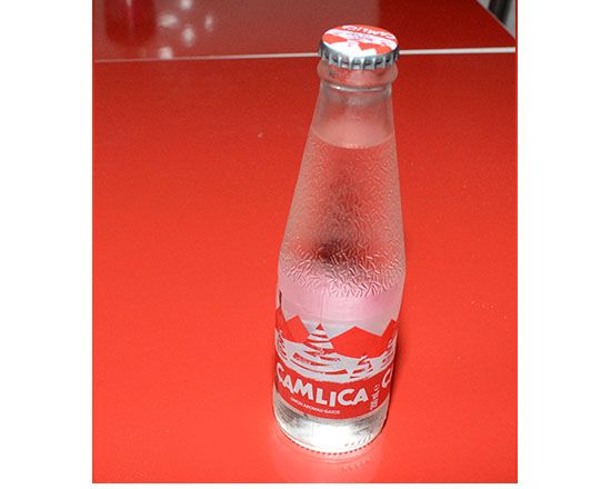 Çamlıca Gazoz (20 cl.)