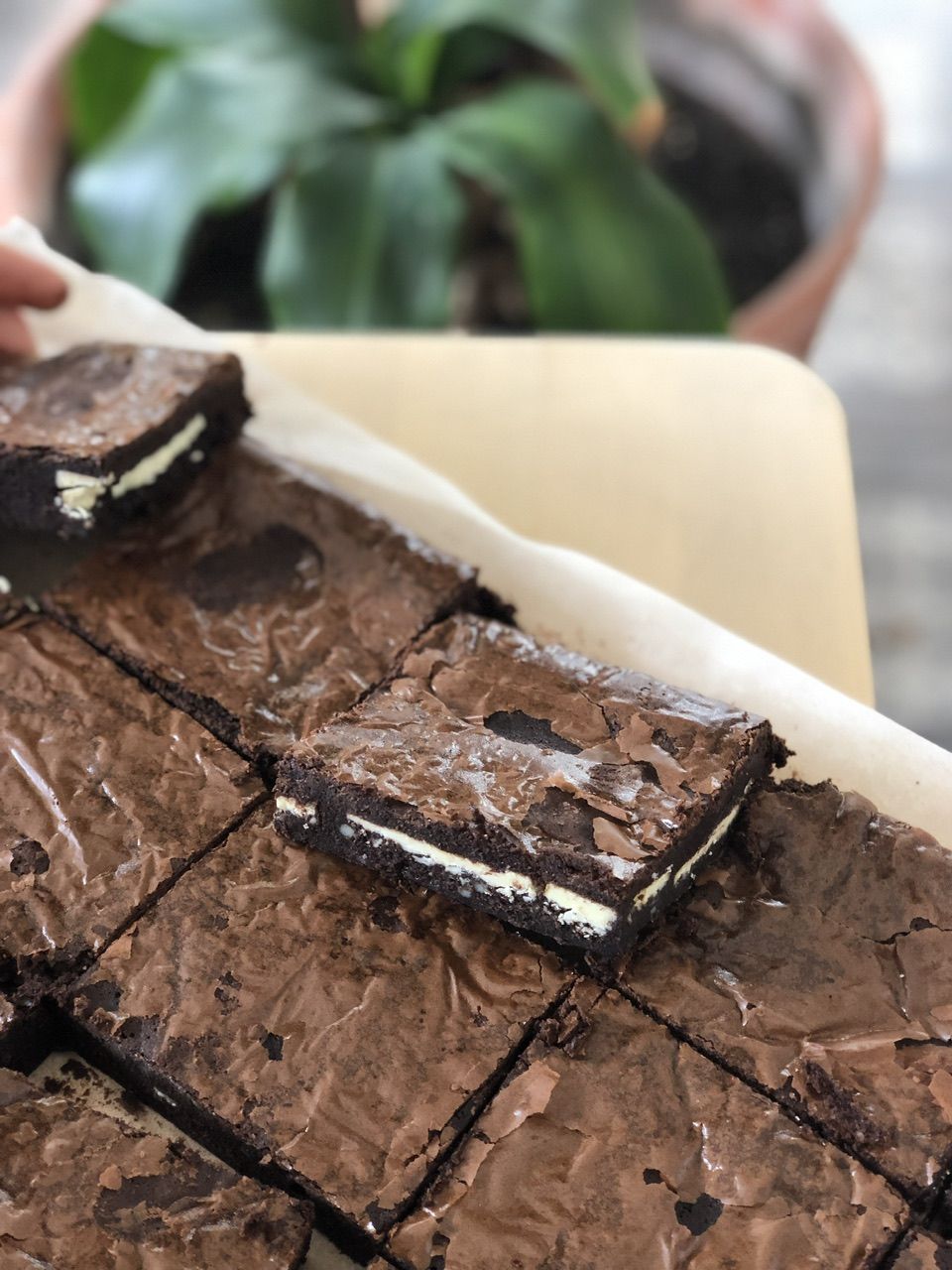 Brownie