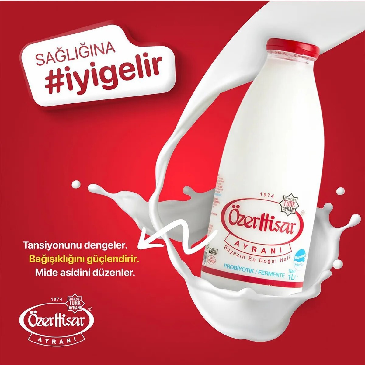 Ayran Özerhisar 250 ML Cam şişe