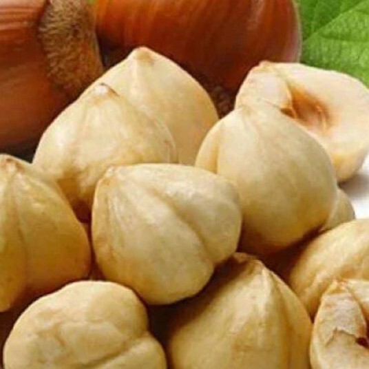 Fındık