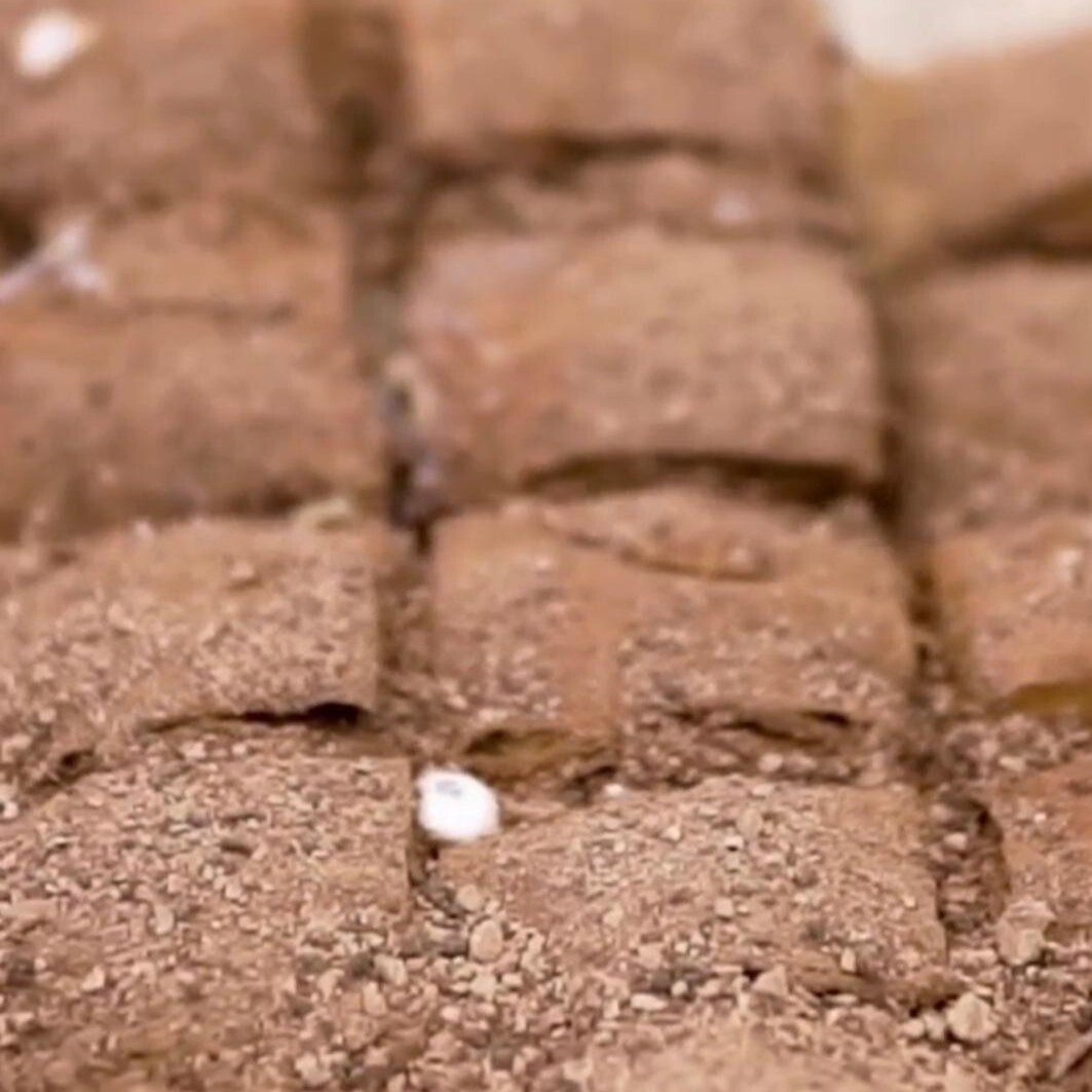 Soğuk Baklava (500 gr.)