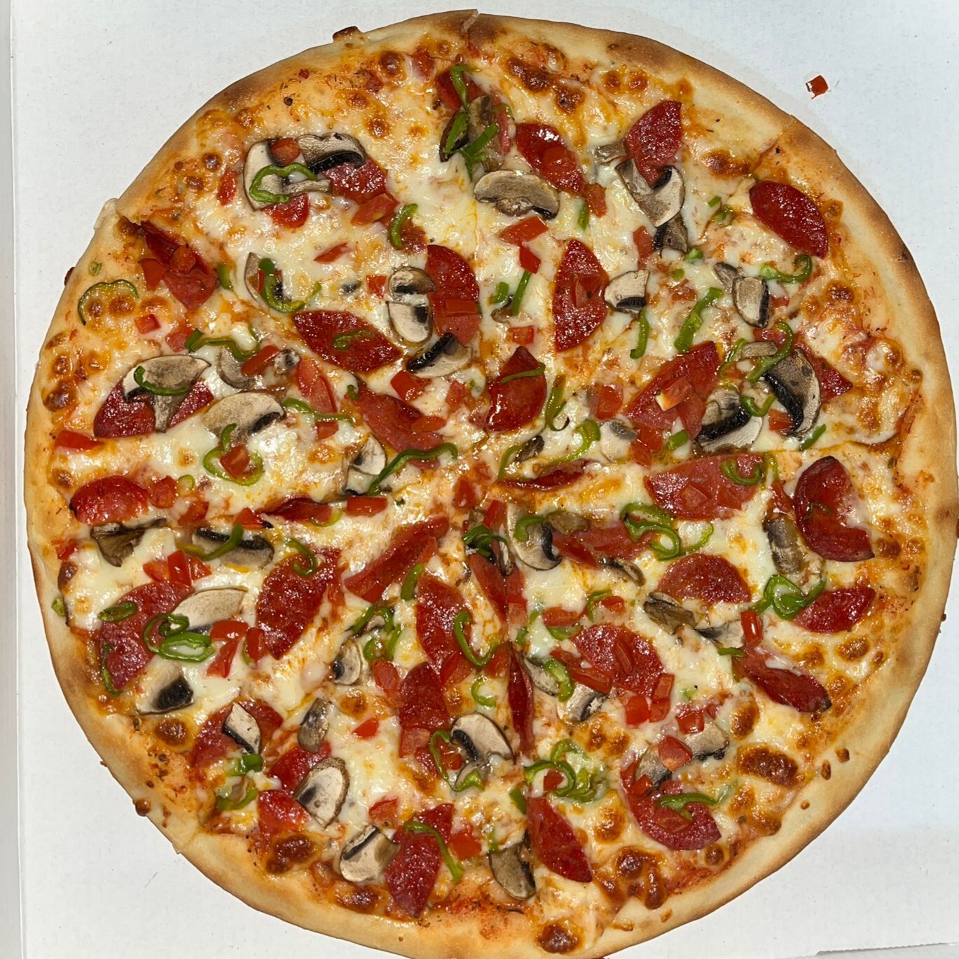 Orta Boy Pizza (4 Mevsim)