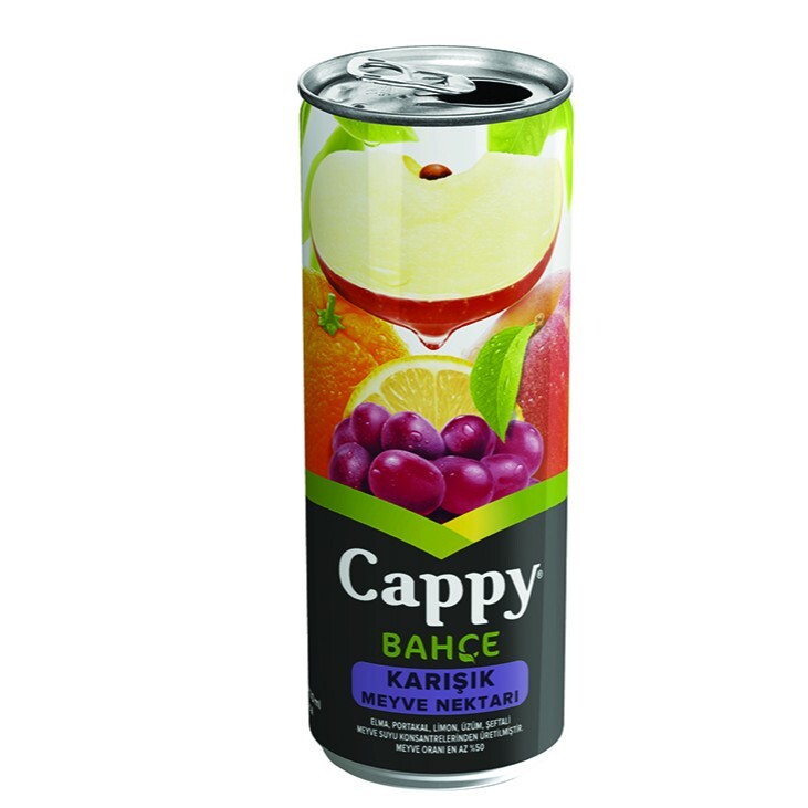Cappy Meyve Suyu Karışık (300 ml)