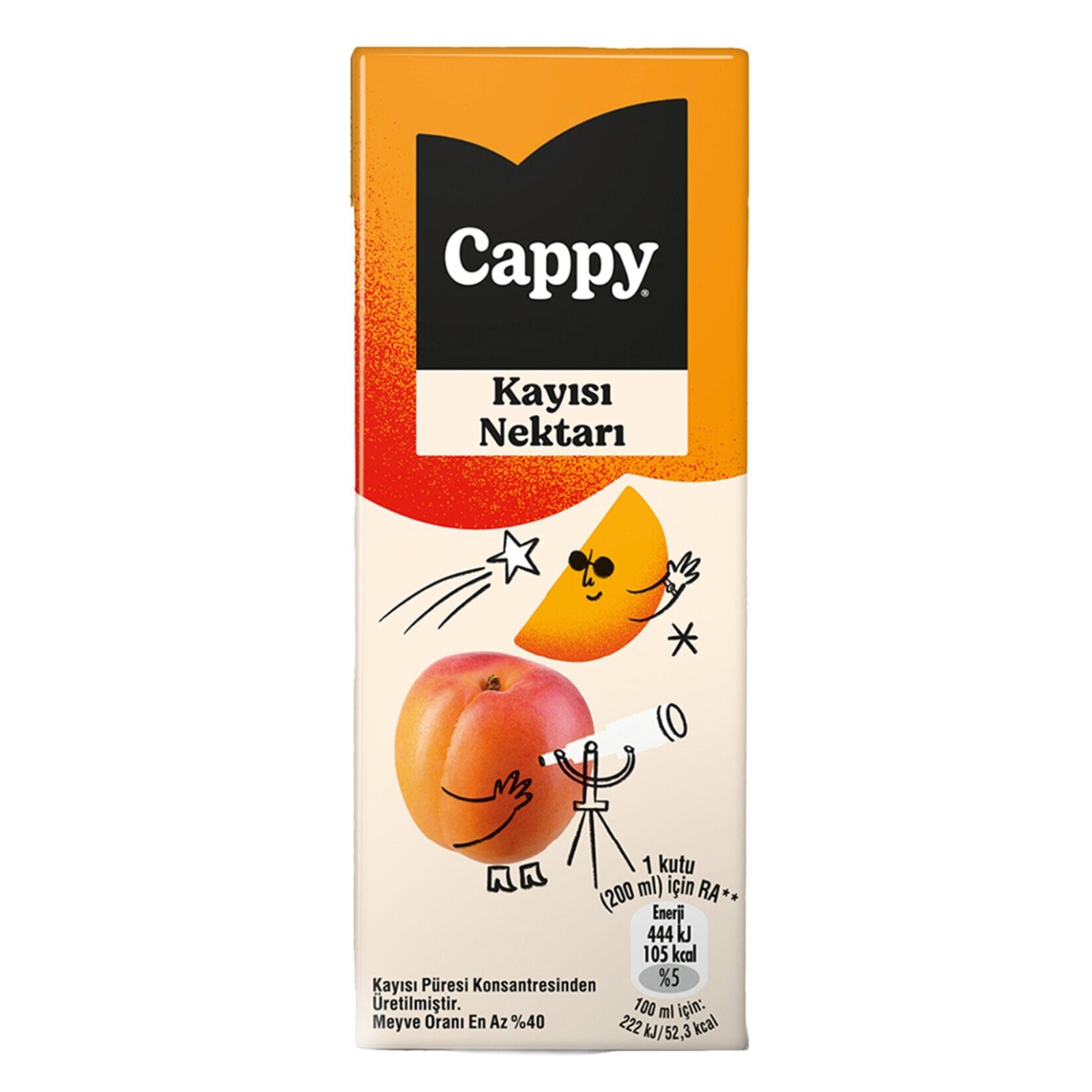 Cappy Tetra - Kayısı (200 ml.)