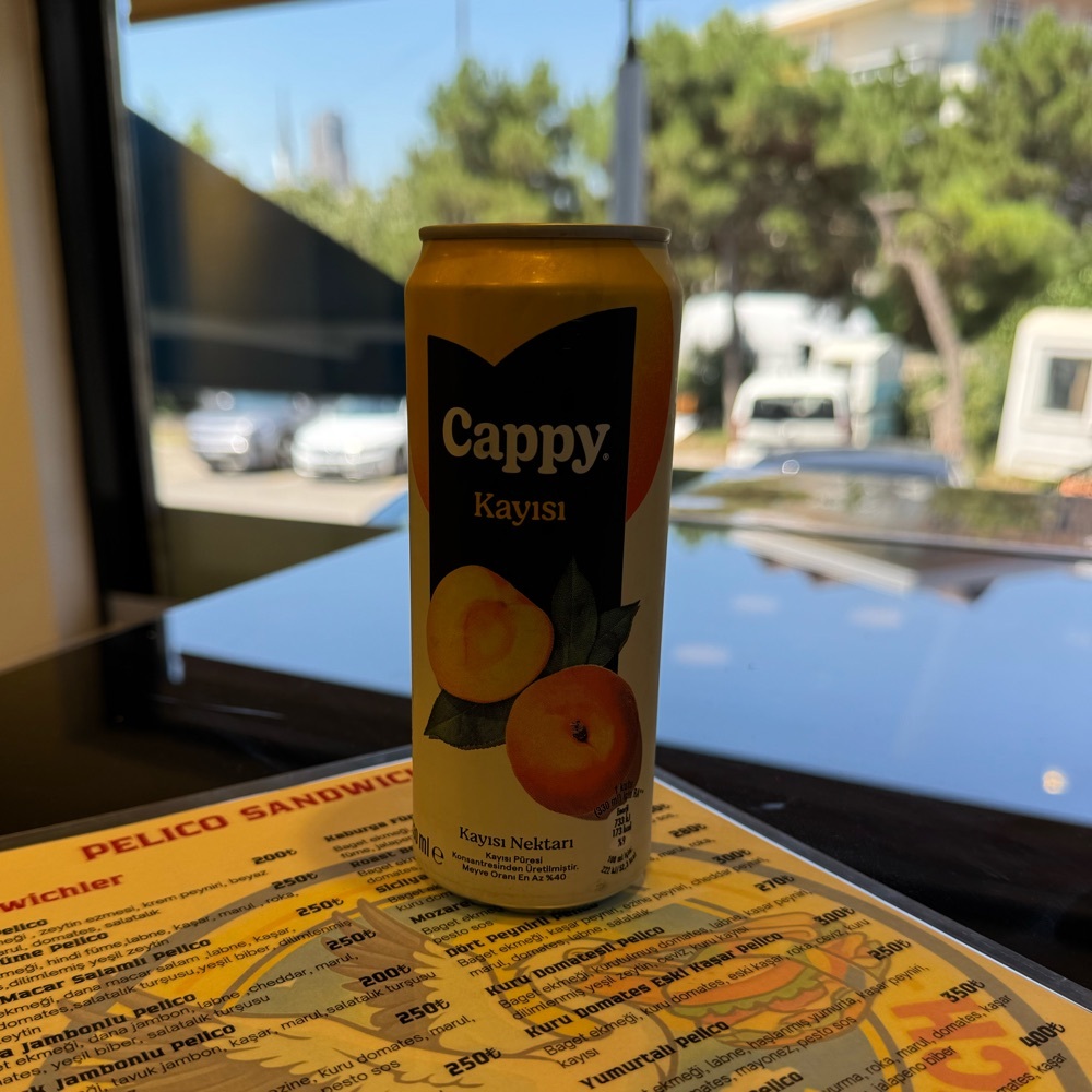 Cappy Kayısı