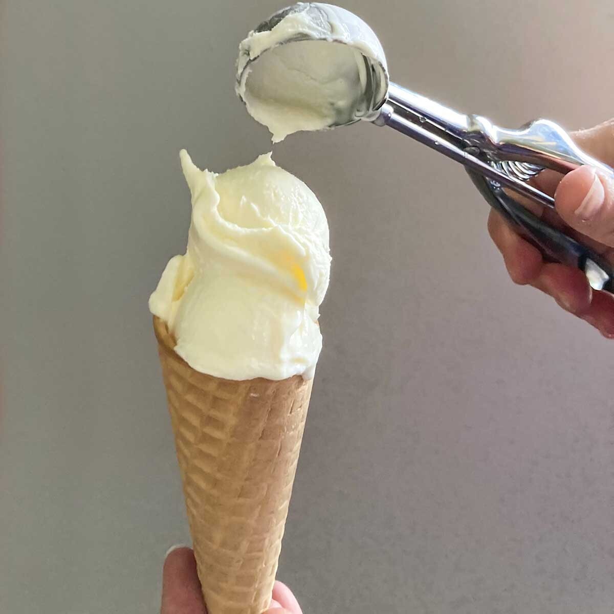 Gelato Doğal Katkısız İtalyan Dondurması ( 1 kg)