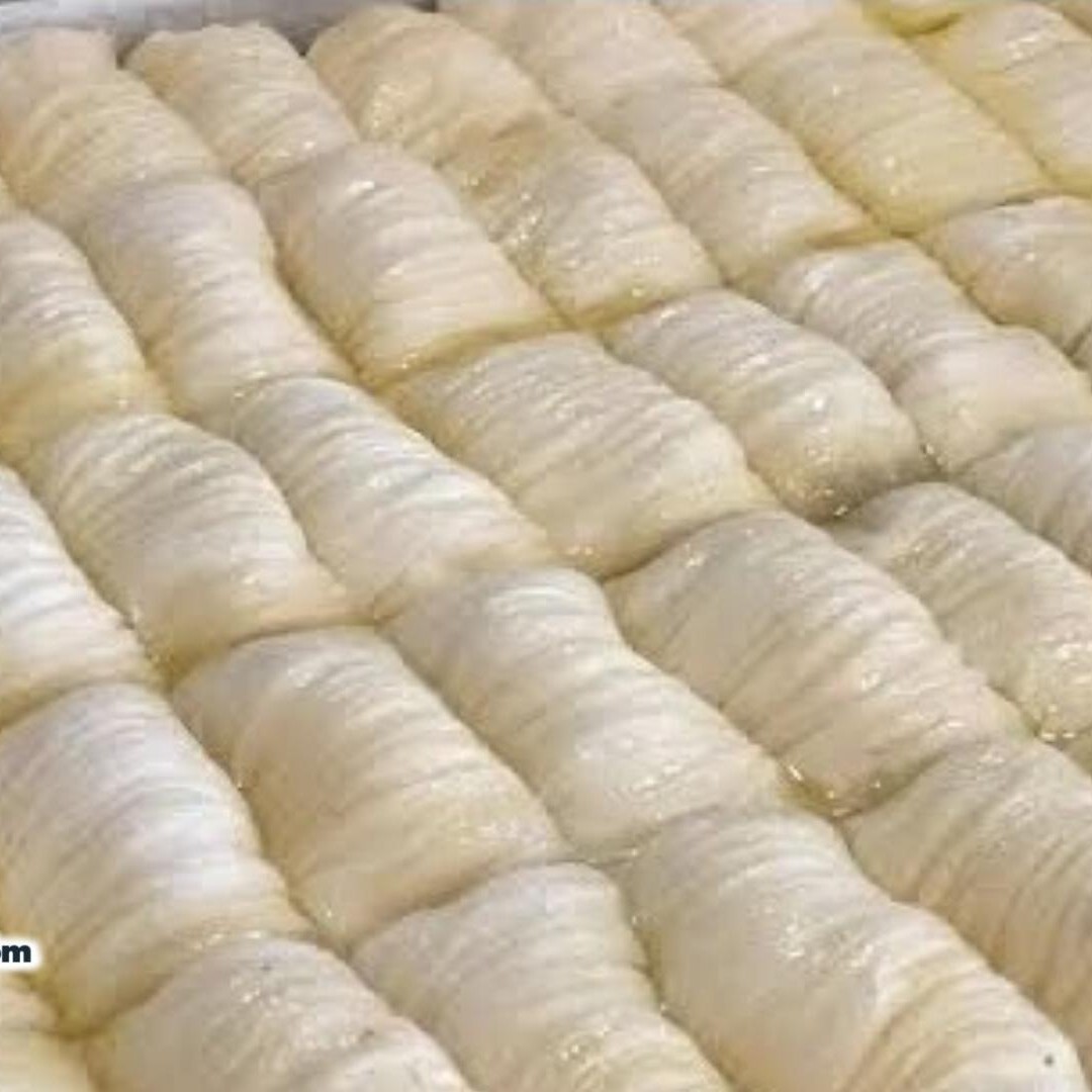 Sütlü Burma