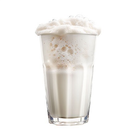 Ayran (170 ml)