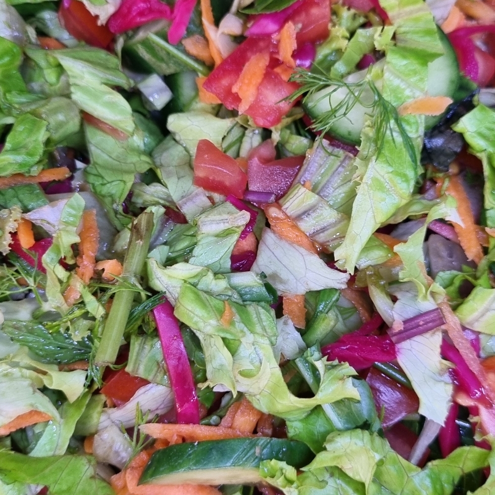 Mevsim Salata