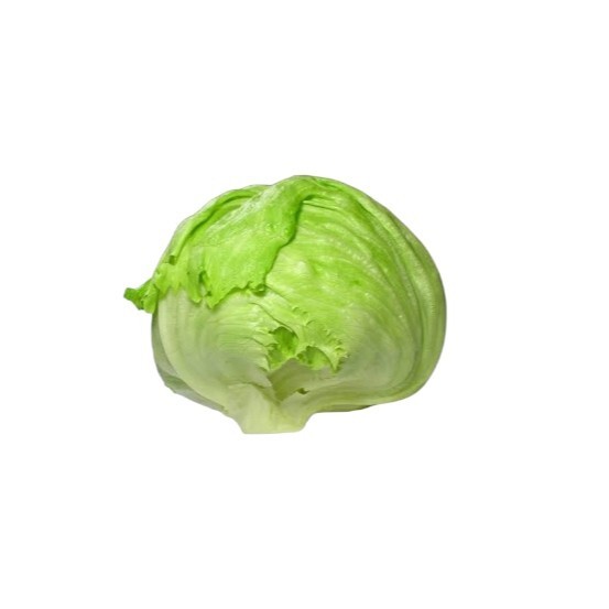 Iceberg Marul (Yarım)