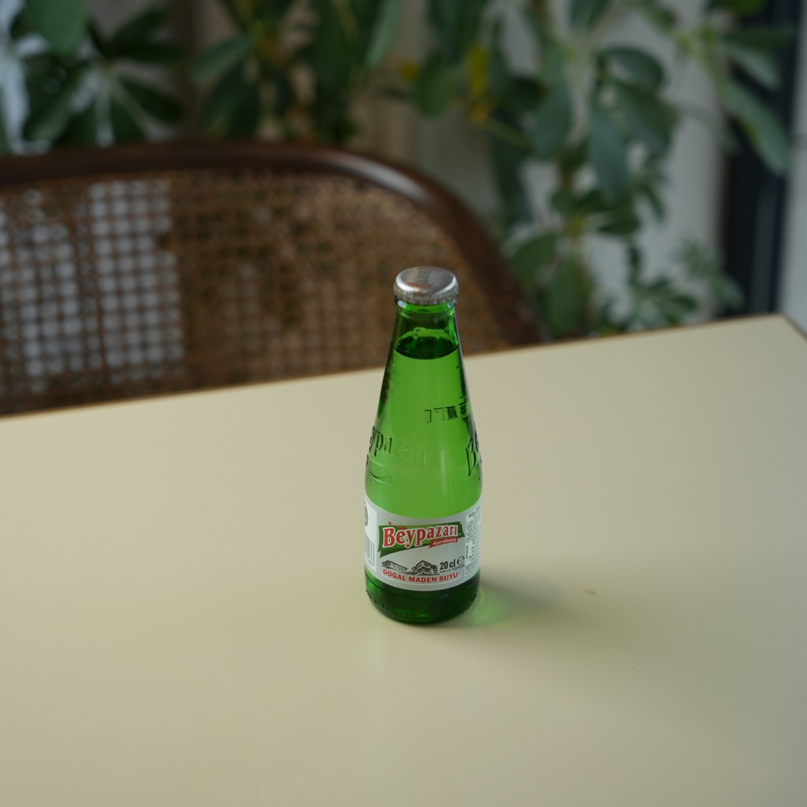 Soda (20 cl.)