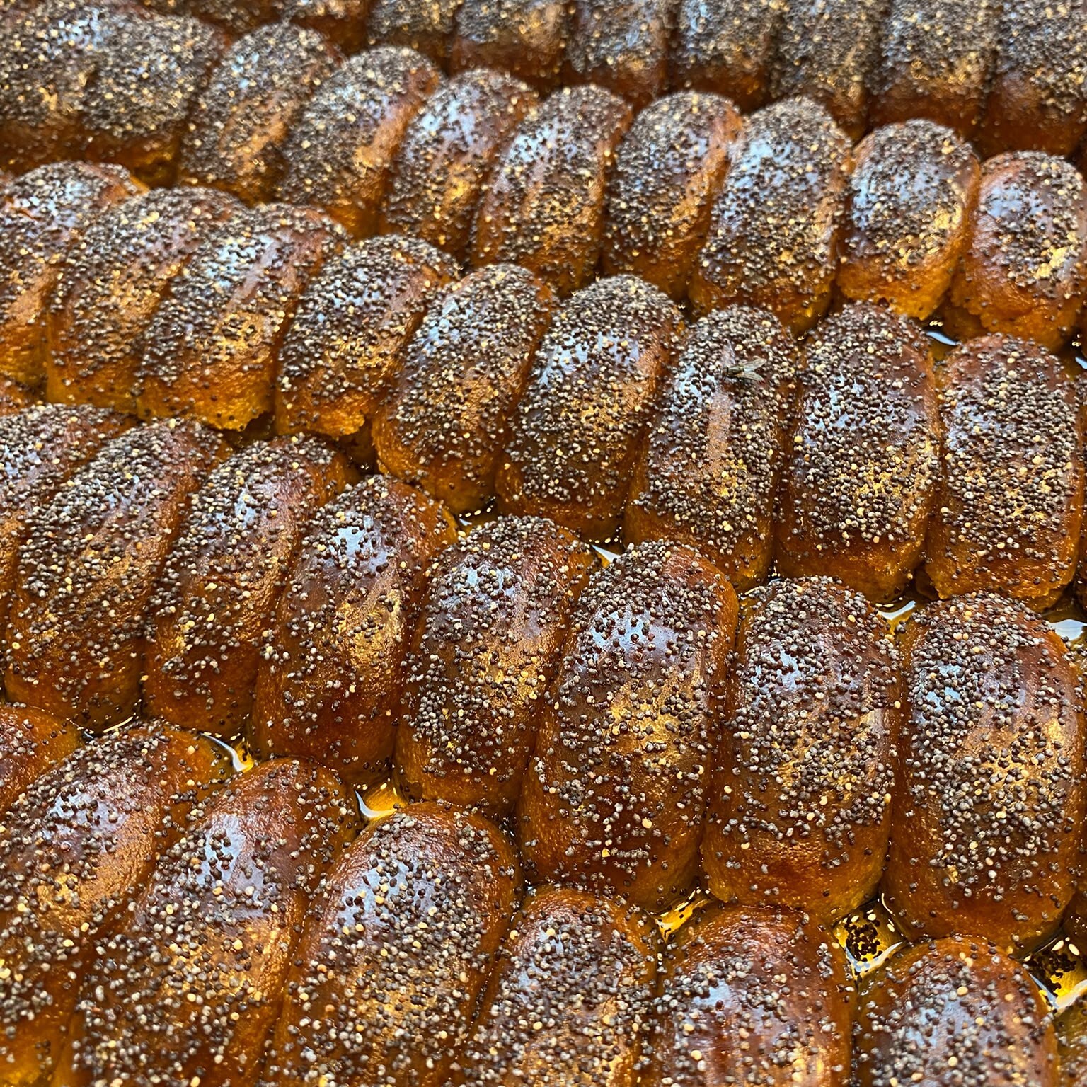 Haşhaşlı Şekerpare 1 Kg