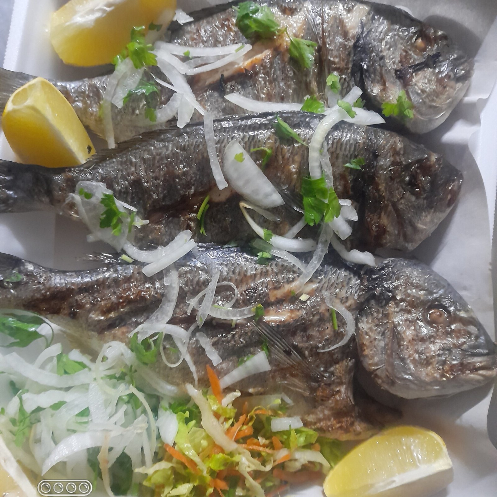 Deniz Cupra ( 400 + 500 gr )