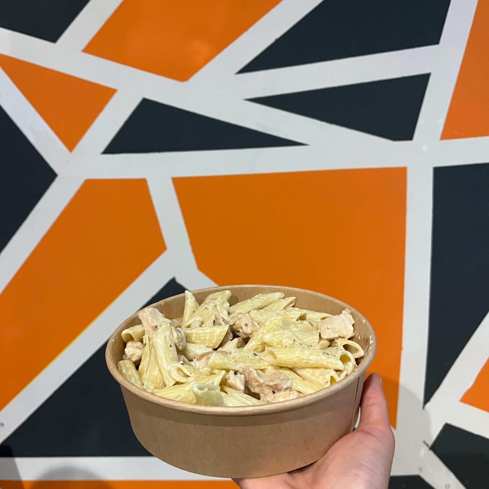 Alfredo Soslu Tavuklu Penne