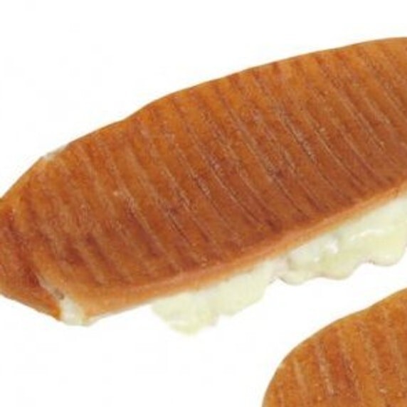 Kaşarlı Tost
