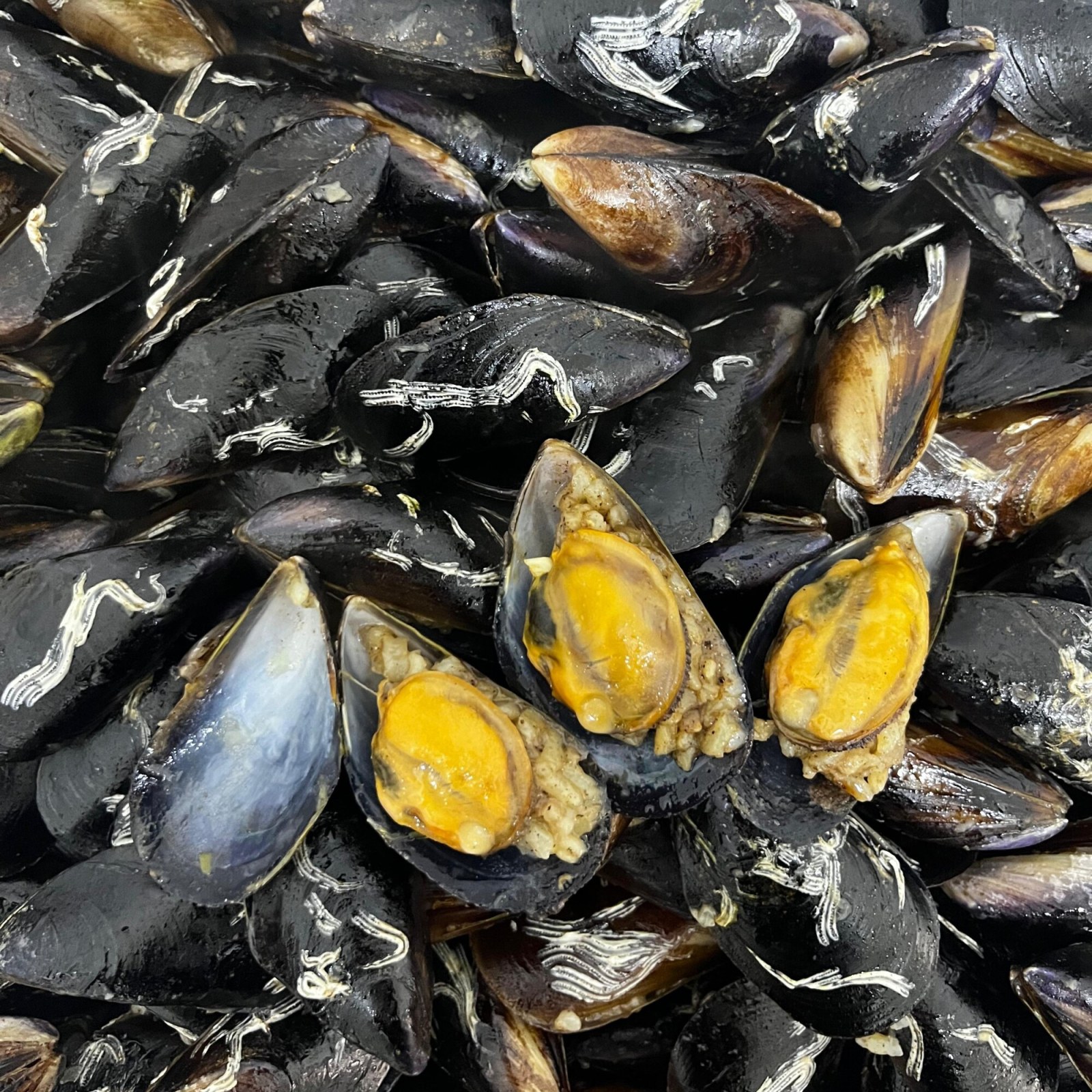 Çiftlik Midye Dolma
