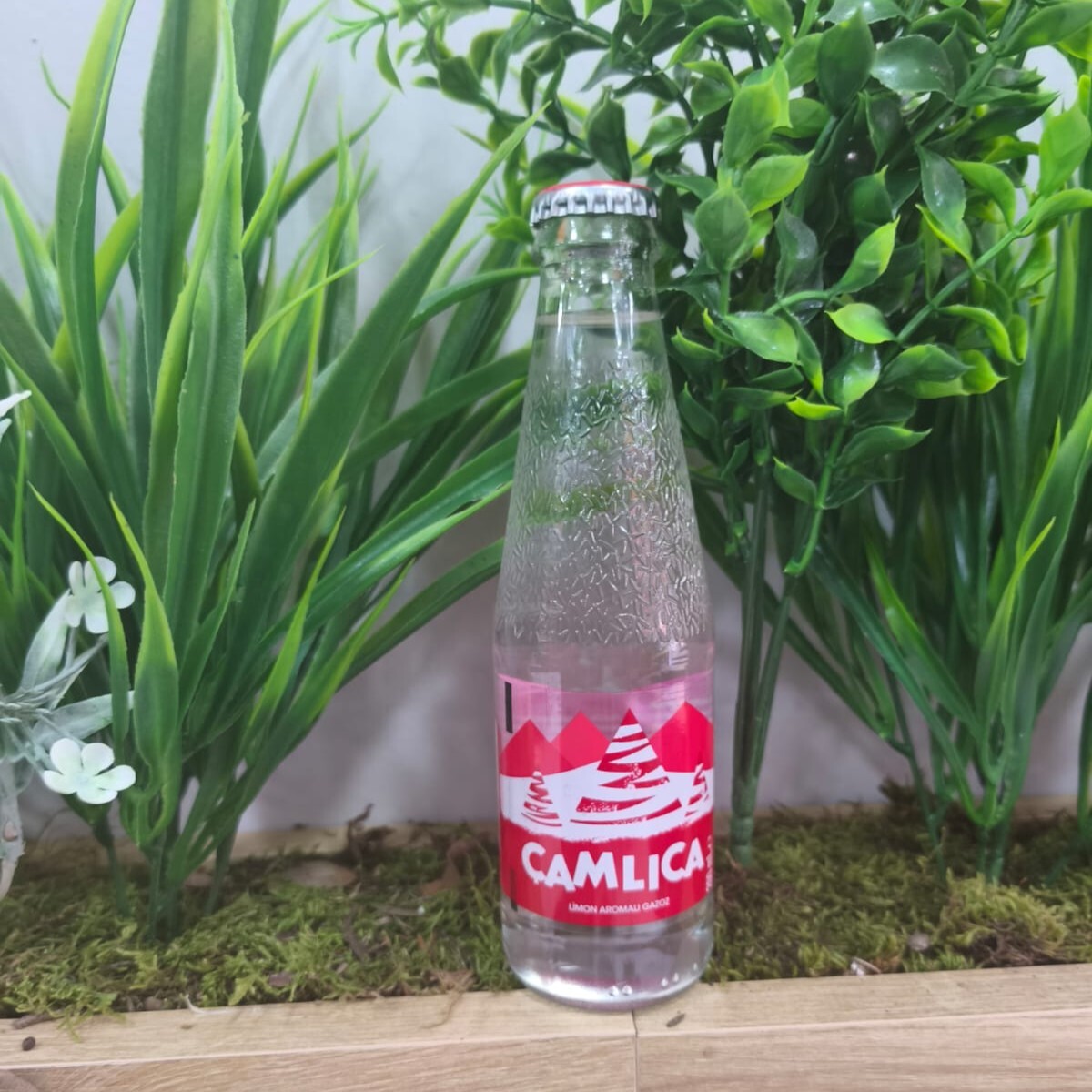 Çamlıca Gazoz (25 cl.)